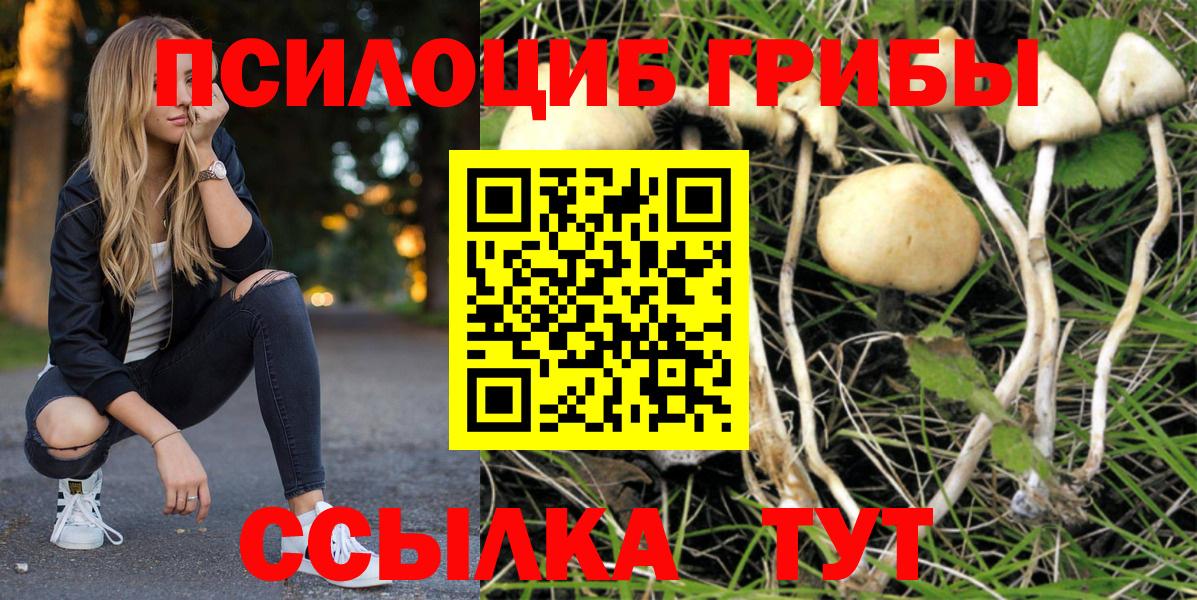 закладка  Вход с VPN  Коряжма  Псилоцибиновые грибы мицелий 